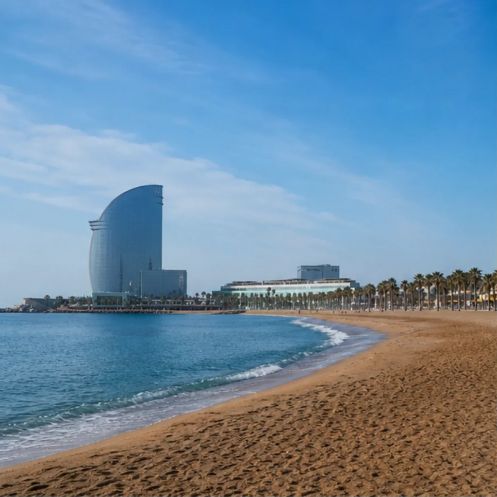 Illustrative catalog artwork of Barceloneta beach in Barcelona