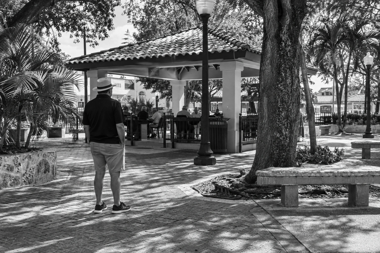 Illustrative Little Havana on Film Experience preview for Máximo Gómez Park