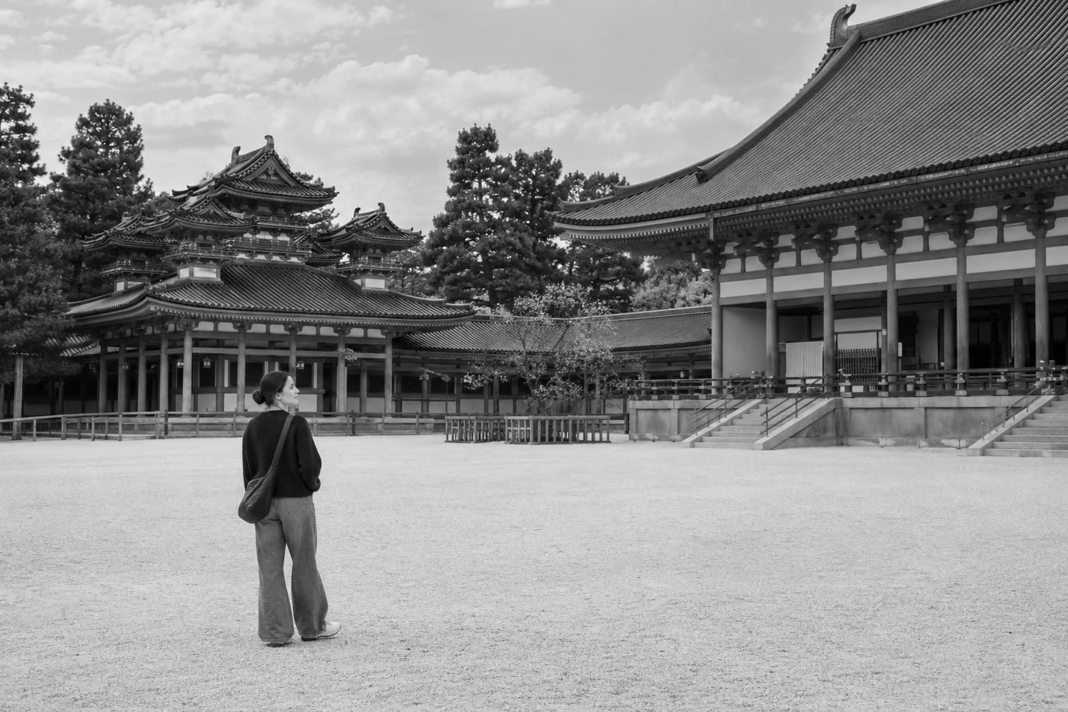 Illustrative Shrine Geometry on Film Experience preview at Heian Jingu