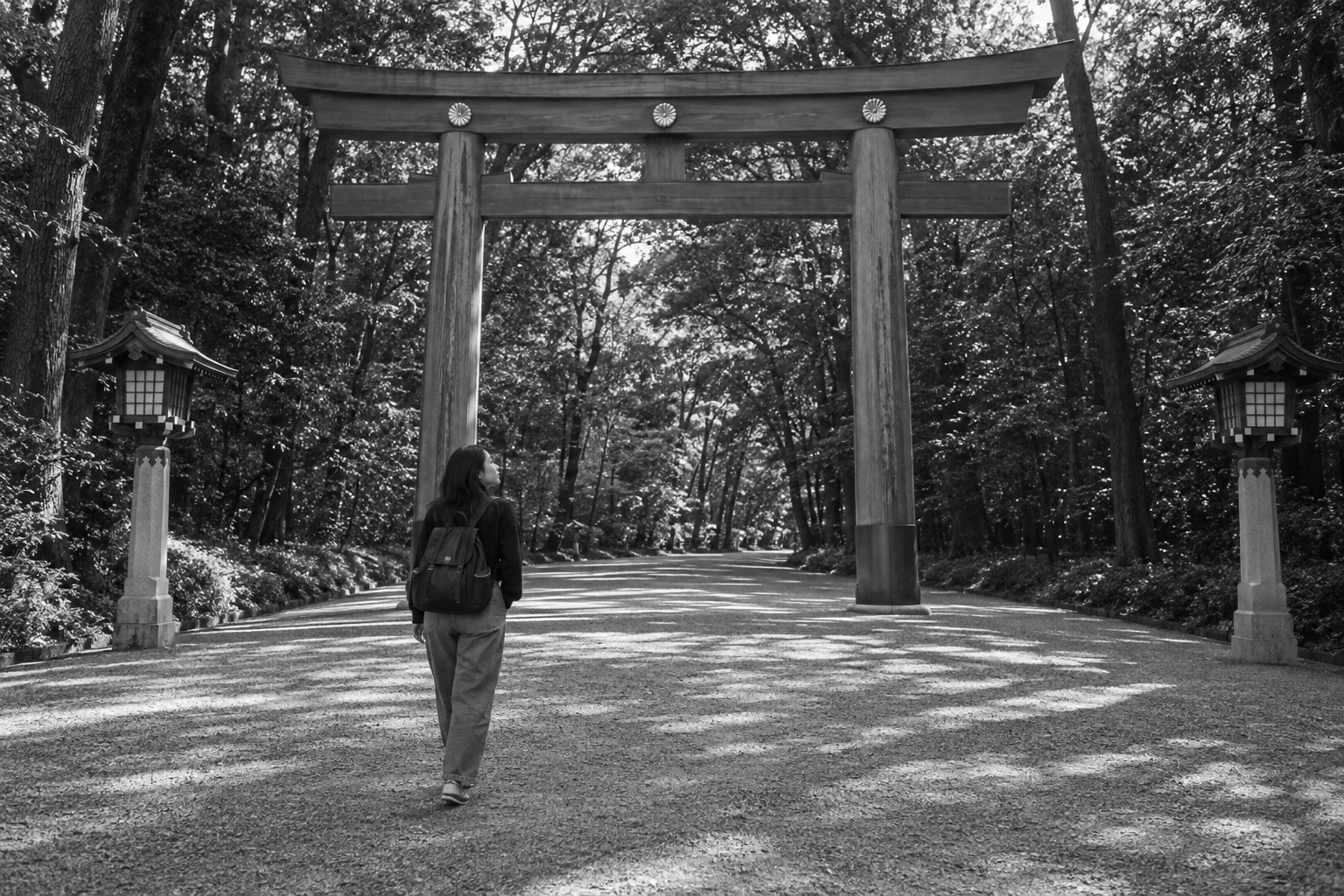 Illustrative Shrine Approach on Film Experience preview for Meiji Jingu