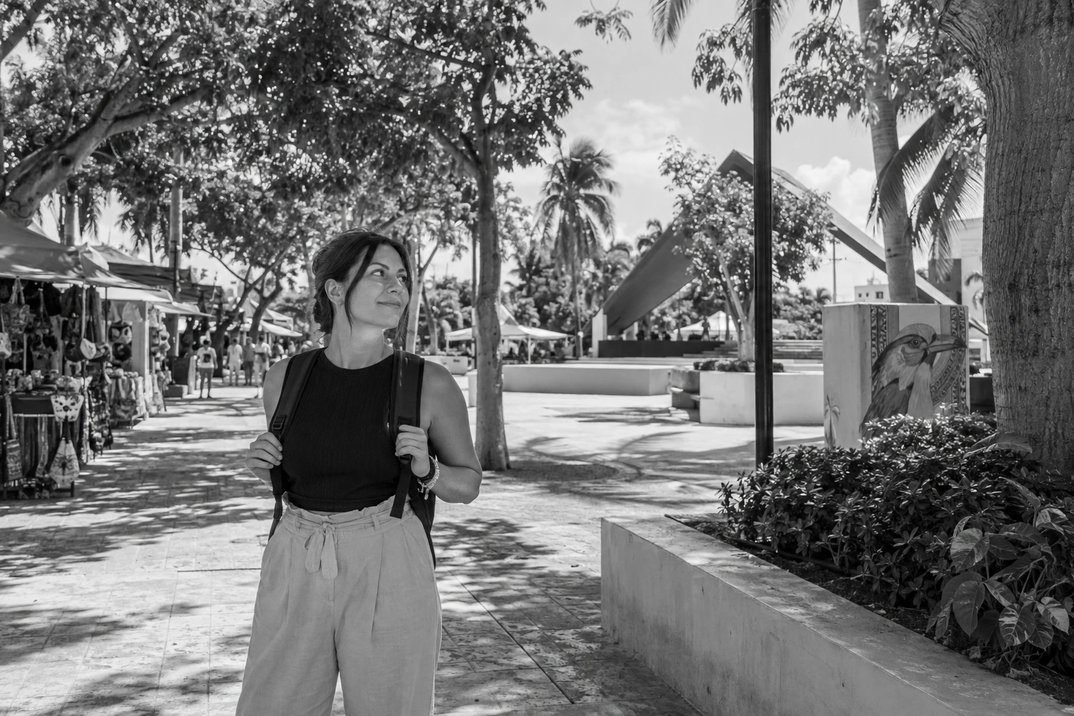 Illustrative Cancun on Film Experience preview at Parque de las Palapas