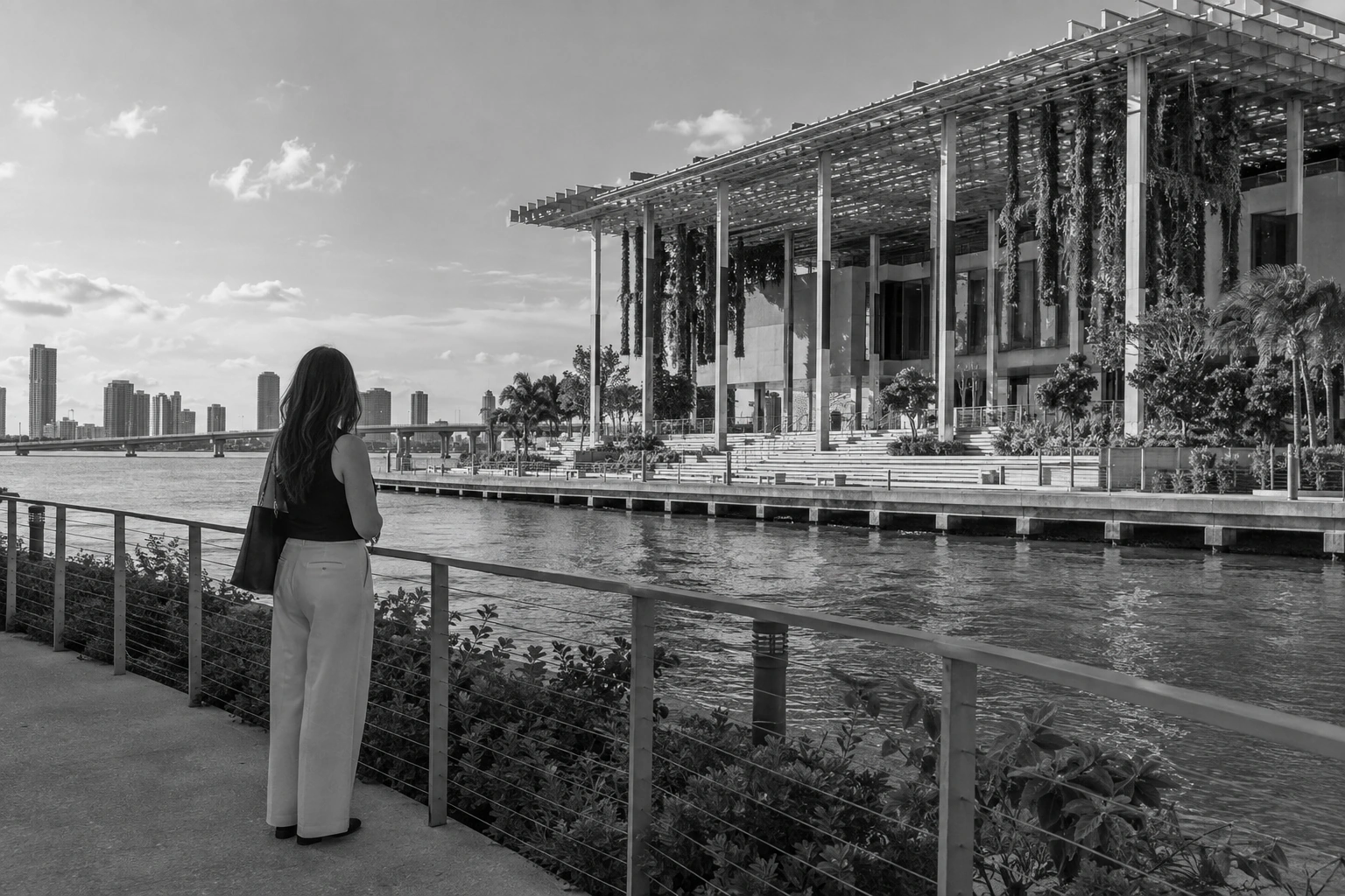 Illustrative Museum Park on Film Experience preview for Pérez Art Museum Miami