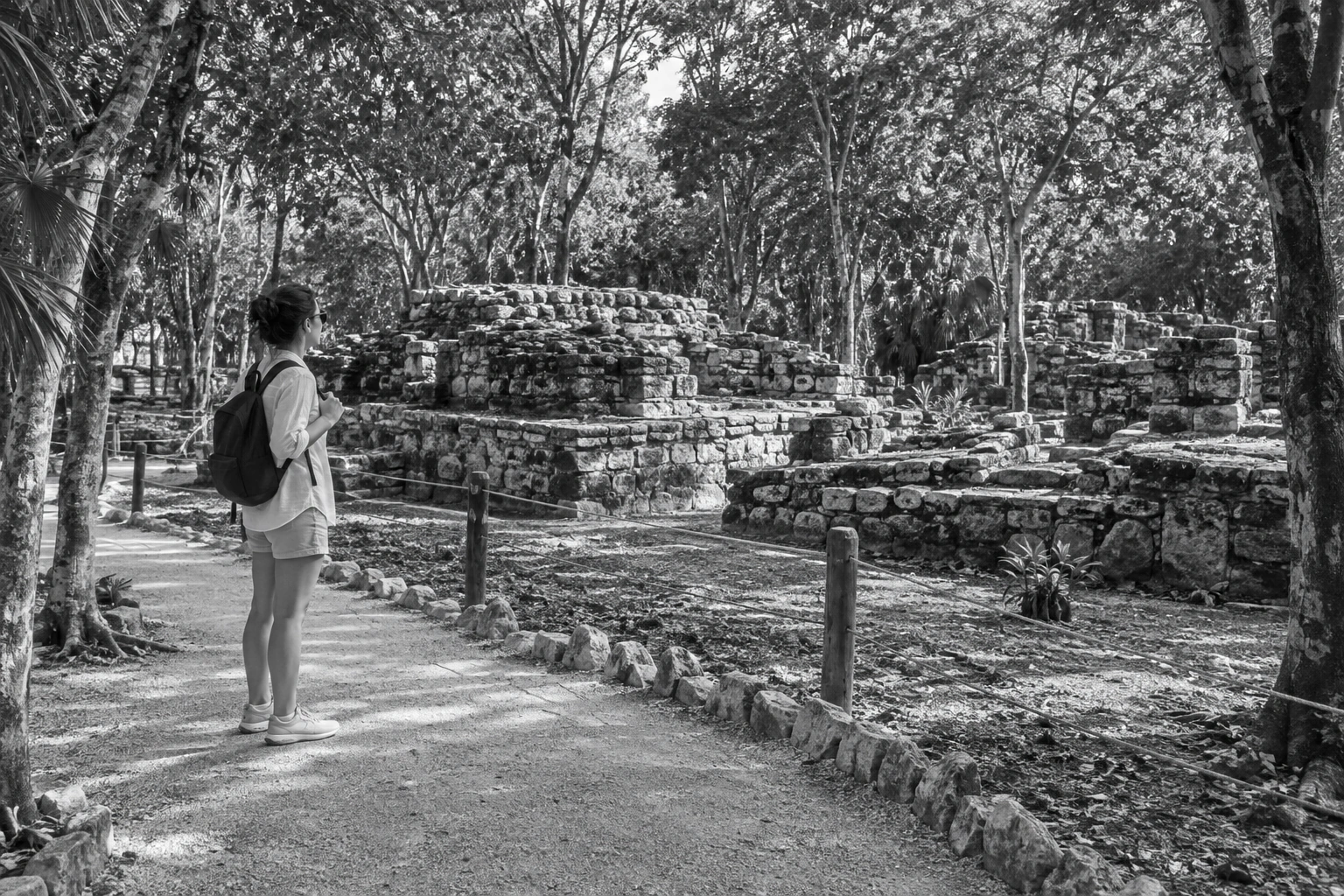 Illustrative Forest Ruins on Film Experience preview for San Miguelito Archaeological Zone